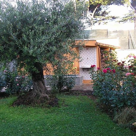 Al Vecchio Olivo Bed & Breakfast Frascati Luaran gambar