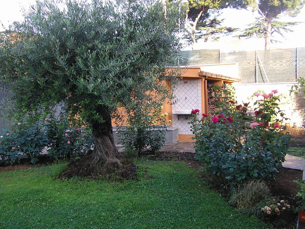 Al Vecchio Olivo Bed & Breakfast Frascati Luaran gambar