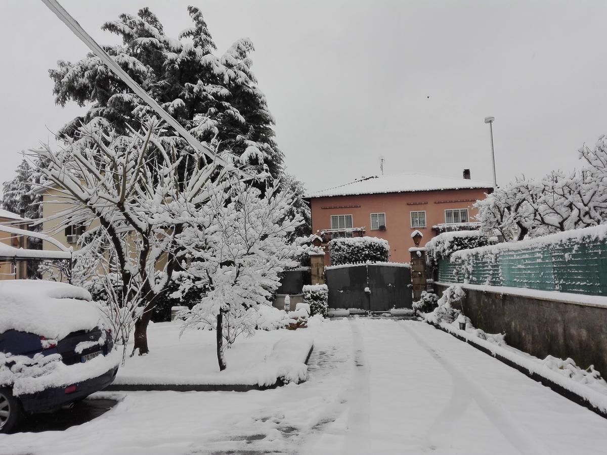 Al Vecchio Olivo Bed & Breakfast Frascati Luaran gambar