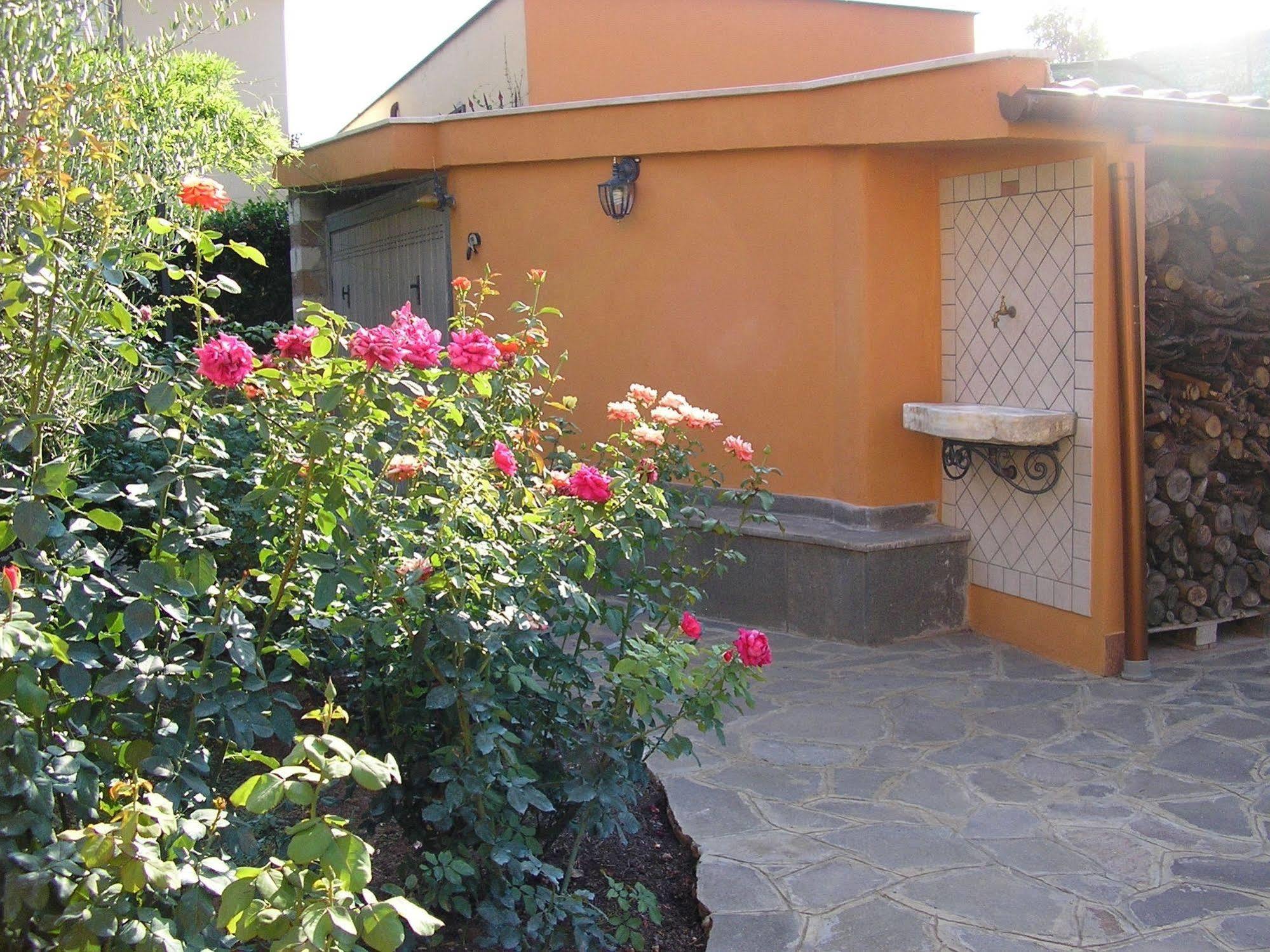 Al Vecchio Olivo Bed & Breakfast Frascati Luaran gambar