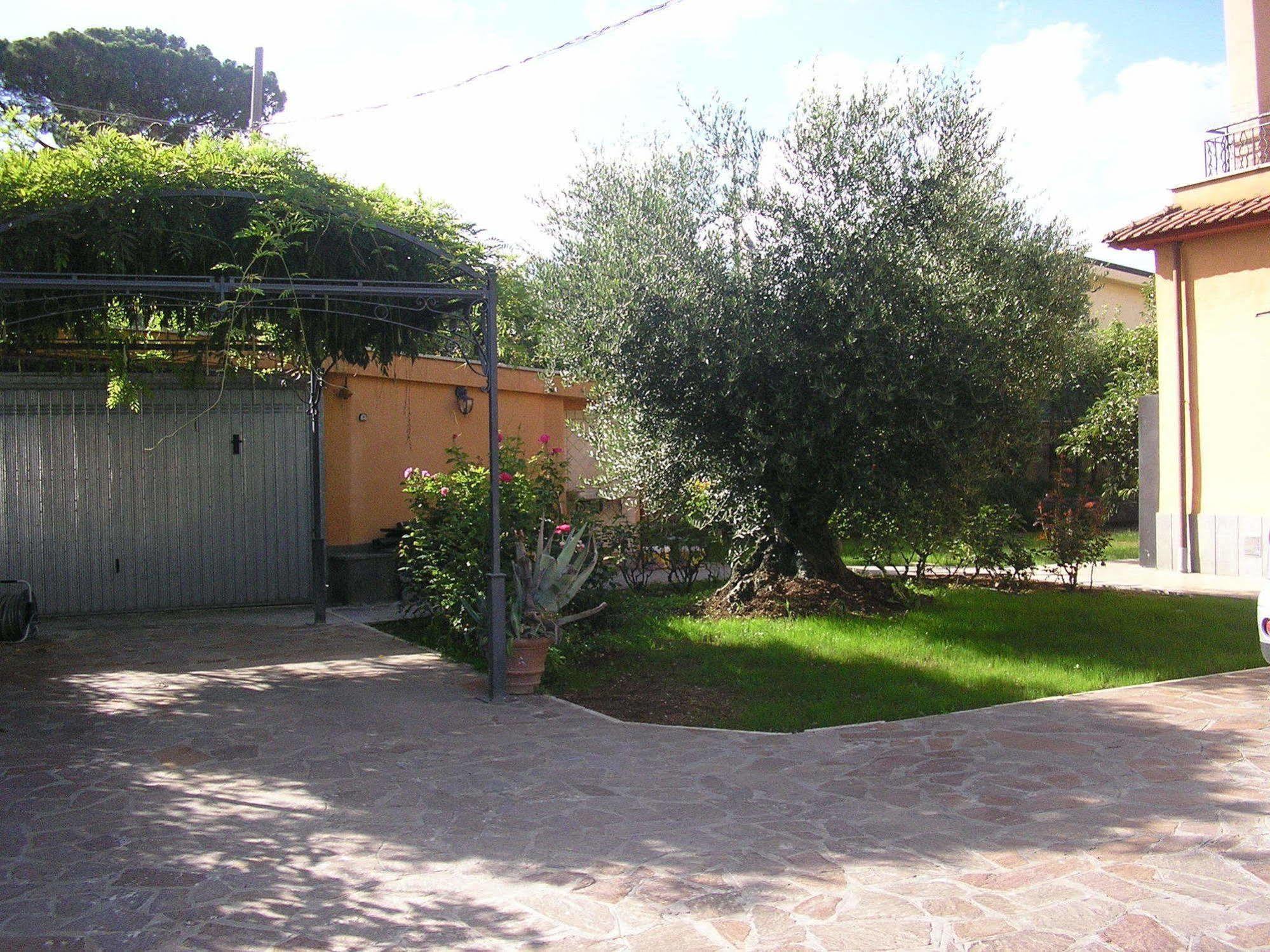 Al Vecchio Olivo Bed & Breakfast Frascati Luaran gambar